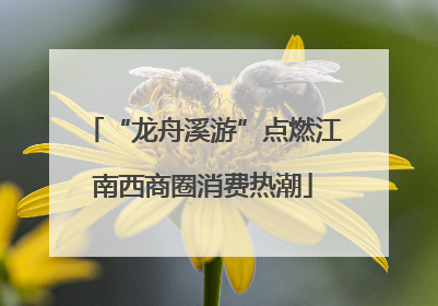 “龙舟溪游”点燃江南西商圈消费热潮